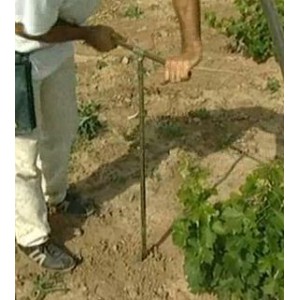 copy of 